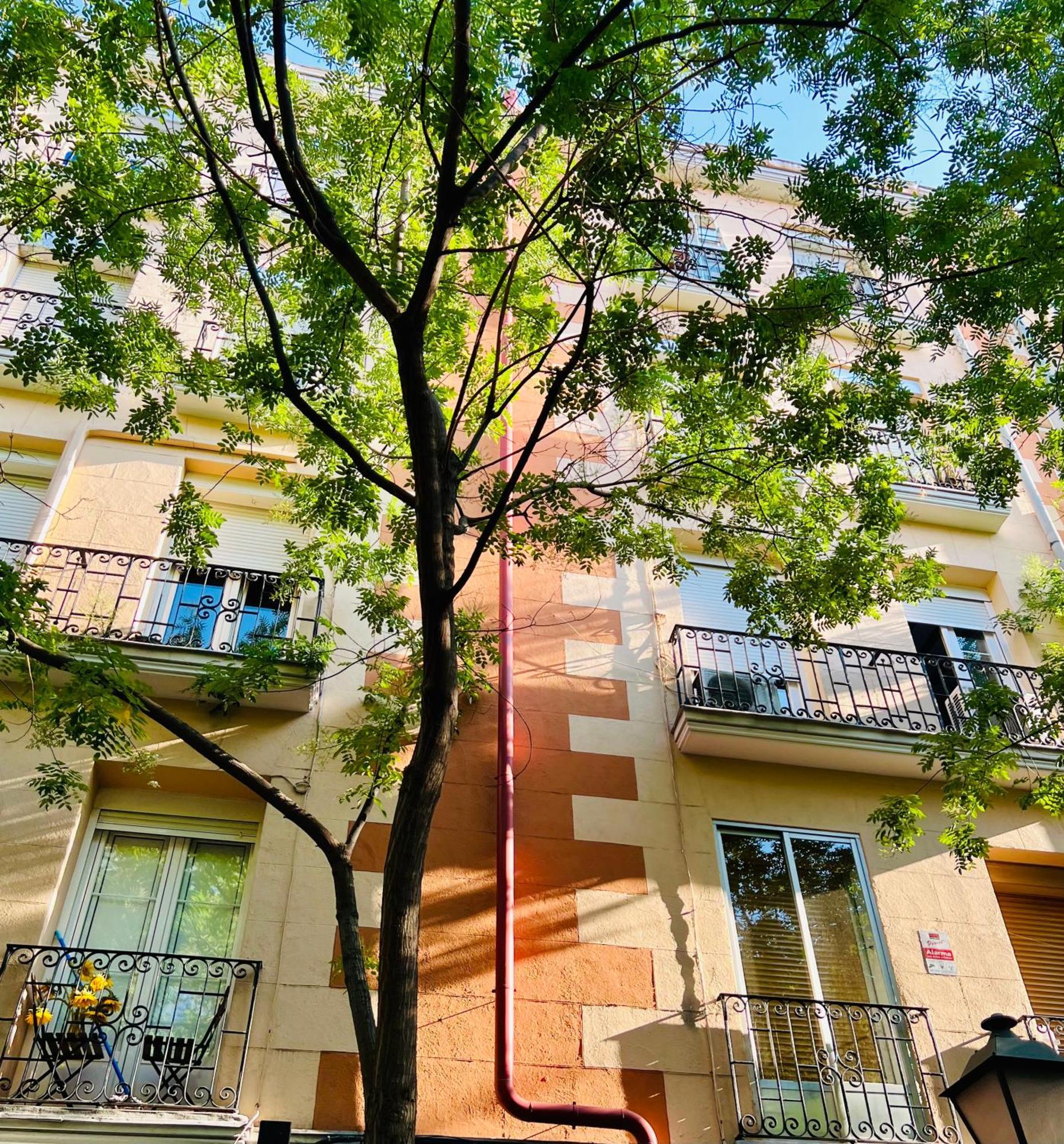Atocha Cozy Home Madrid Exterior foto
